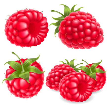 Berry raspberry set for icon, label, package and other designs. Realistic 3d vector illustration.のイラスト素材