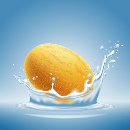 Ripe fresh honeydew melon fruit with water splash on blue background. Vector illustration.のイラスト素材