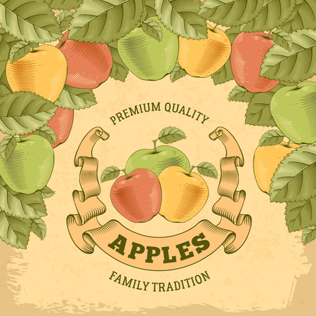 Vintage colorful label with apples. Editable vector illustration in retro hand drawn or engraved style.のイラスト素材