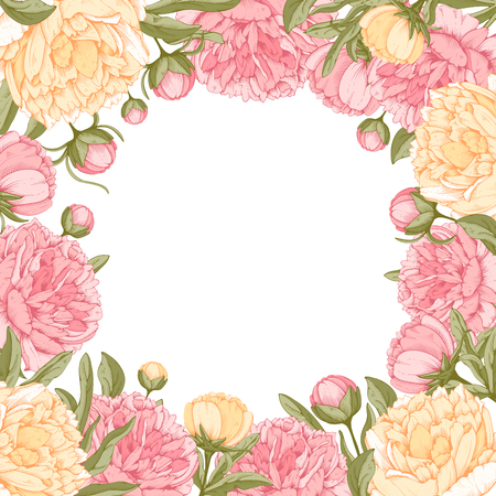 Vector square frame with yellow and pink peony flowers on white background. Gentle floral design. Can be used as design element for wedding, greeting card, package and other.のイラスト素材