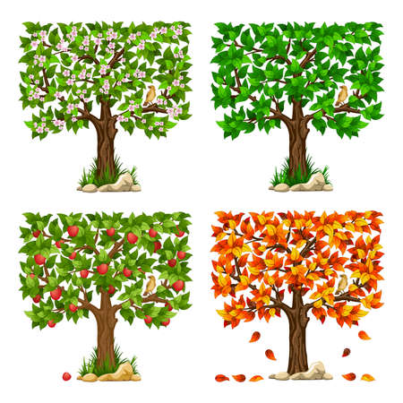 Set of fruit tree with bird. Tree at spring, summer, autumn and with ripe fruits. Vector illustration.のイラスト素材