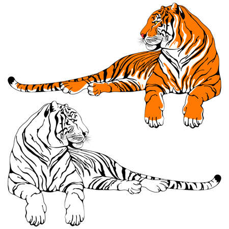 Lying calm tiger. Stylized characters set. Colored and black and white drawings by hand. Chinese zodiac symbol of 2022 lunar new year. Vector illustration.のイラスト素材