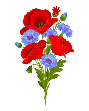 Gentle bouquet of wildflowers. Red poppy flowers, blue cornflowers, leaves, buds and poppy seed pods. vector illustration.のイラスト素材