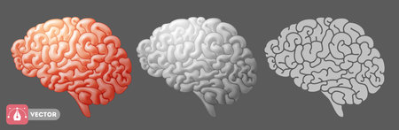 Set of brain drawings in the various styles for design, gray and pink colors, 3d and flat cartoon...