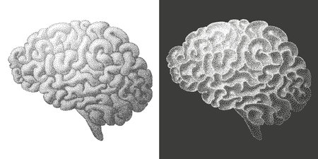 Brain drawing with dots texture. vector illustration