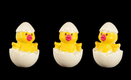 isolated chocolate chickenの写真素材