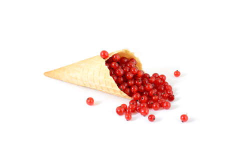 isolated cornet with fresh currant on white backgroundの写真素材