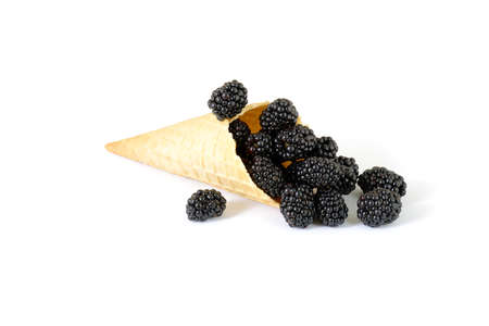 isolated cornet with fresh mulberry on white backgroundの写真素材