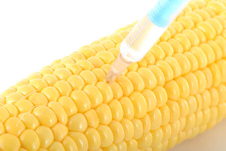 modified cereal with injection on white backgroundの写真素材