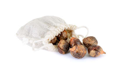 soap nuts with bagの写真素材