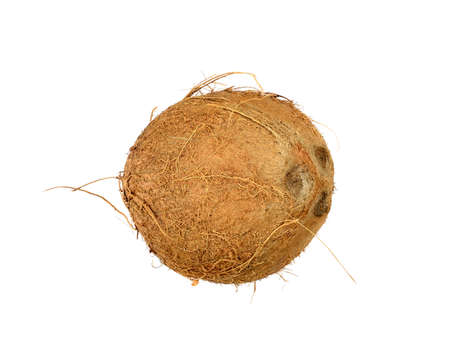 isolated coconut on white backgroundの写真素材