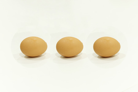 Egg on white backgroundの写真素材