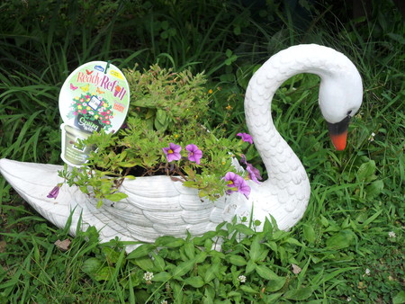 Swan Flower Potの写真素材