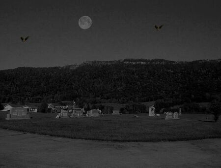 Cemetery at nightの写真素材