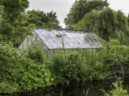 Green house behind green plants on a summers dayの写真素材