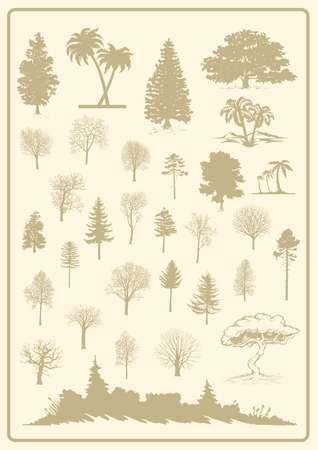 tree yellowのイラスト素材