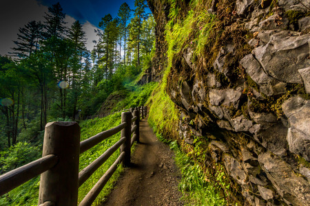 Point of View Hiking Trailの写真素材