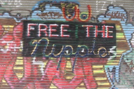 FREE THE NIPPLESのeditorial素材