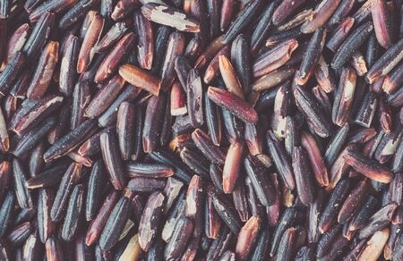 Red rice berry grain backgroundの写真素材