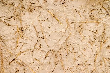 Texture of grunge panel with straw add on concreteの写真素材
