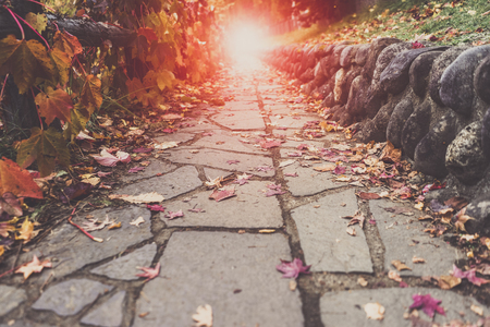 A Stone walking path, red leaves scattering on it. Leading into artificial sunlight at the end....