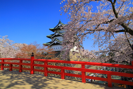 Aomori hirosaki Cherry Blossom Festivalのeditorial素材