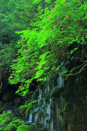 Xia Yuan falls subsoil waterの写真素材