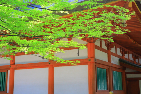 World Heritage hiraizumi-motsu-JIのeditorial素材