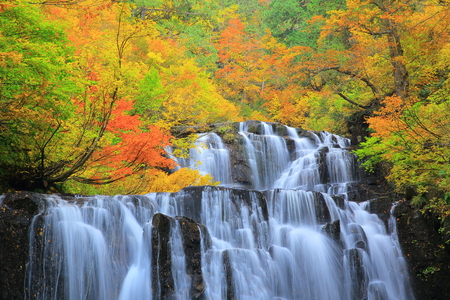 Autumn leaves fall and Gorge two waterfallsの写真素材