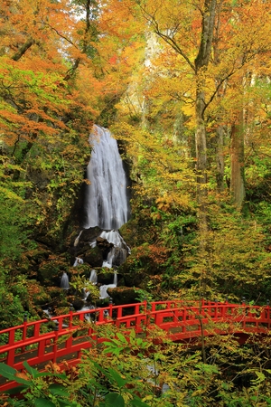 Hachiman-Taira leaves fudo waterfallの写真素材
