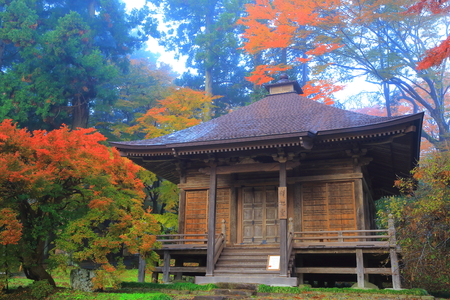 World Heritage hiraizumi in chuson-ji Temple autumnのeditorial素材