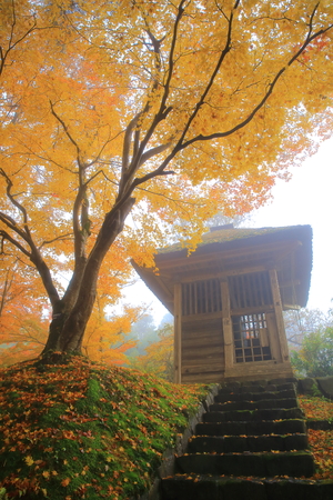 World Heritage hiraizumi in chuson-ji Temple autumn