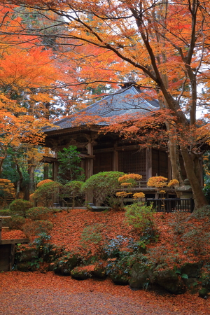World Heritage hiraizumi in chuson-ji Temple autumnのeditorial素材