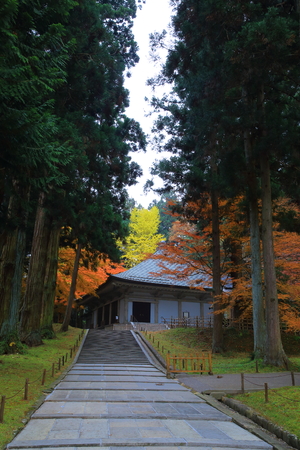 World Heritage hiraizumi in chuson-ji Temple autumnのeditorial素材