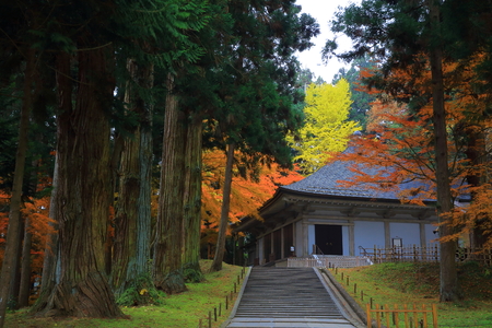 World Heritage hiraizumi in chuson-ji Temple autumnのeditorial素材