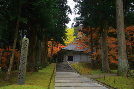 World Heritage hiraizumi in chuson-ji Temple autumnのeditorial素材