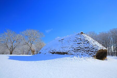 Kabayama ruins of winter