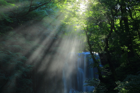 Akita Prefecture, kameda fudo waterfallの写真素材