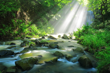 Akita Prefecture, kameda fudo waterfallの写真素材