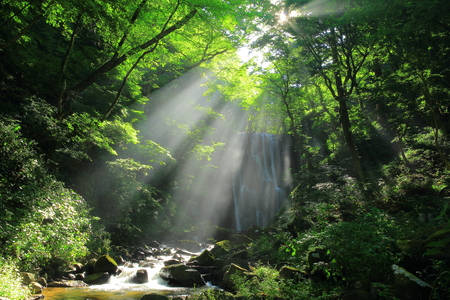 Akita Prefecture, kameda fudo waterfallの写真素材