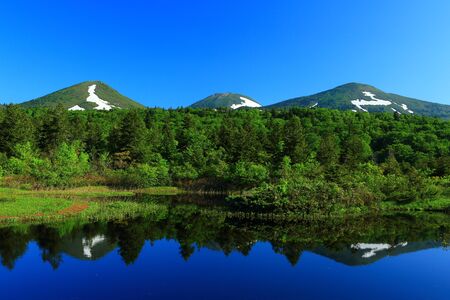 8 upper field, Alpine summerの写真素材