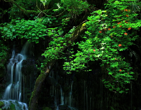 Xia Yuan falls subsoil waterの写真素材