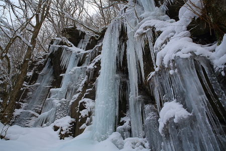 Oirase Gorge in winter
