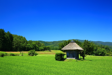 Kojin shrine in Tono summerの写真素材
