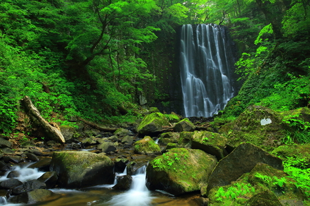 Summer kameda fudo waterfallの写真素材