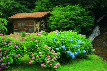 Waterfalls and millの写真素材