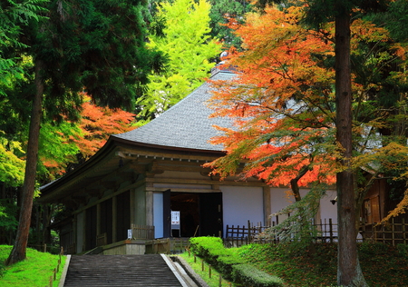 World Heritage hiraizumi in chuson-ji Temple autumnのeditorial素材