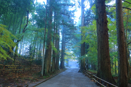 World Heritage hiraizumi in chuson-ji Temple autumnの写真素材