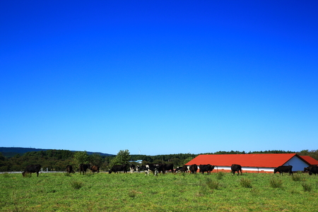 Toriumi Kogen, Akita Prefectureのeditorial素材