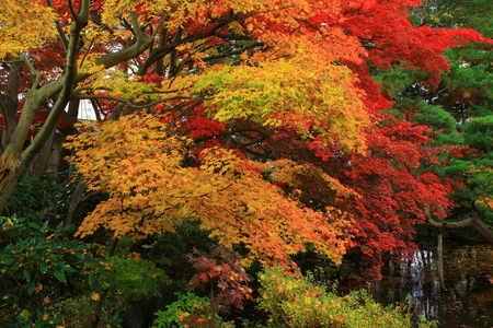 Autumn Nanchang Hotelの写真素材